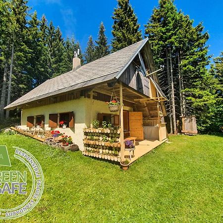 Mountain Eco Chalet Konjska Dolina On 1400 M Asl -Near Pokljuka Srednja Vas v Bohinju エクステリア 写真