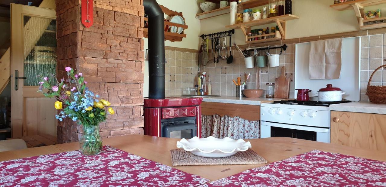 Mountain Eco Chalet Konjska Dolina On 1400 M Asl -Near Pokljuka Srednja Vas v Bohinju エクステリア 写真