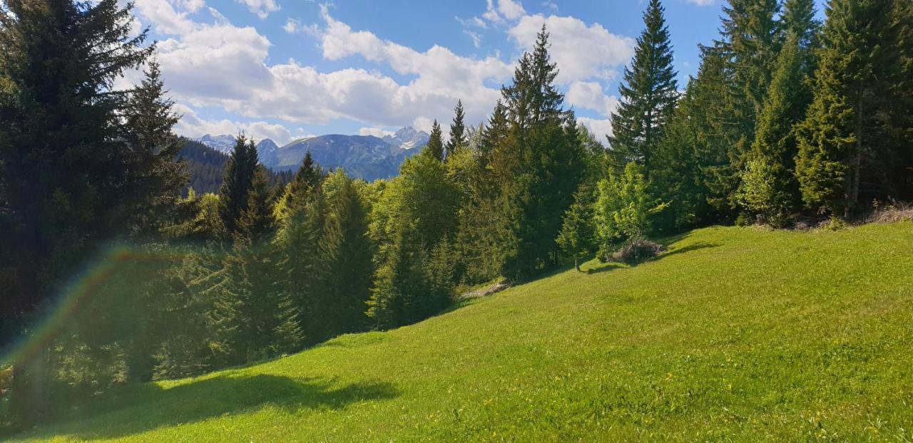 Mountain Eco Chalet Konjska Dolina On 1400 M Asl -Near Pokljuka Srednja Vas v Bohinju エクステリア 写真