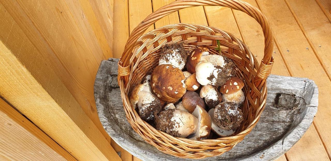 Mountain Eco Chalet Konjska Dolina On 1400 M Asl -Near Pokljuka Srednja Vas v Bohinju エクステリア 写真