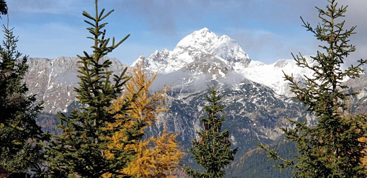 Mountain Eco Chalet Konjska Dolina On 1400 M Asl -Near Pokljuka Srednja Vas v Bohinju エクステリア 写真