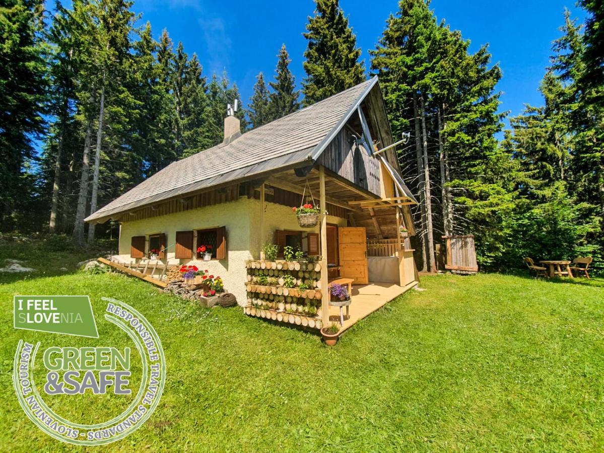 Mountain Eco Chalet Konjska Dolina On 1400 M Asl -Near Pokljuka Srednja Vas v Bohinju エクステリア 写真